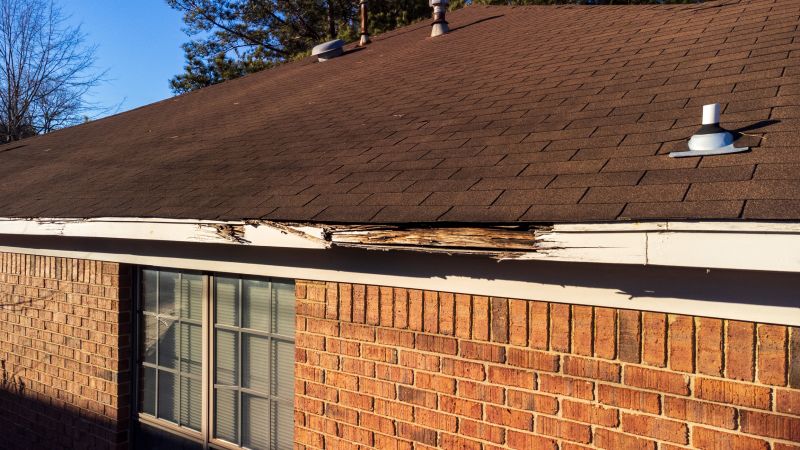 Garage Fascia Repair in Conroe, TX